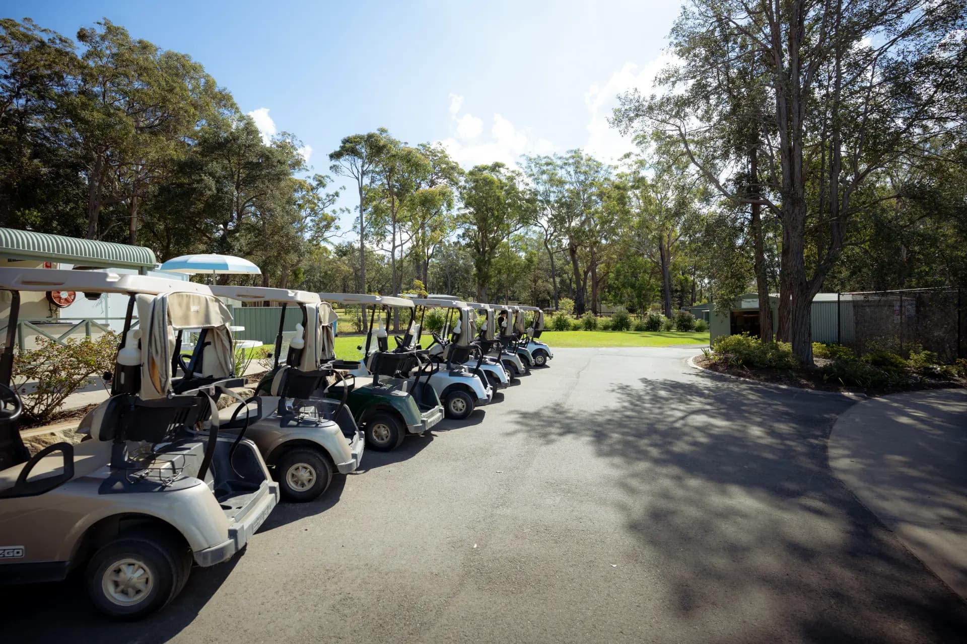 Hire carts lined up at Sussex Inlet Golf Club